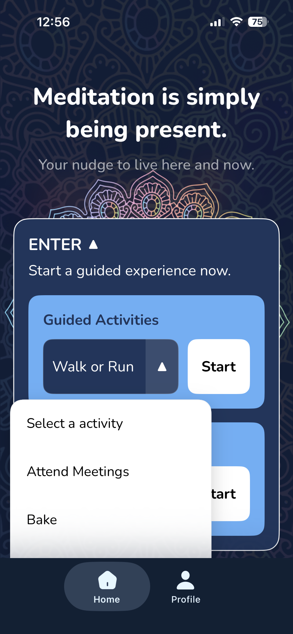 Your Nudge — select a daily activity