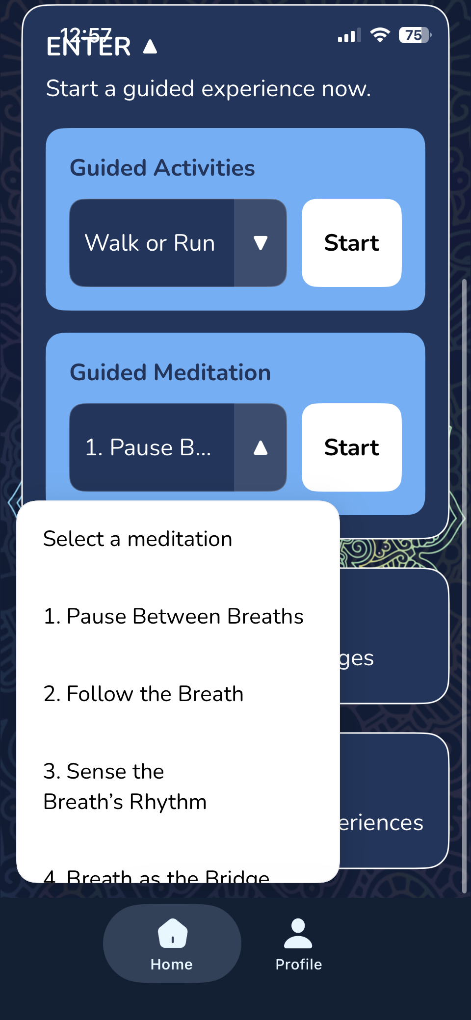 Your Nudge — select a meditation technique